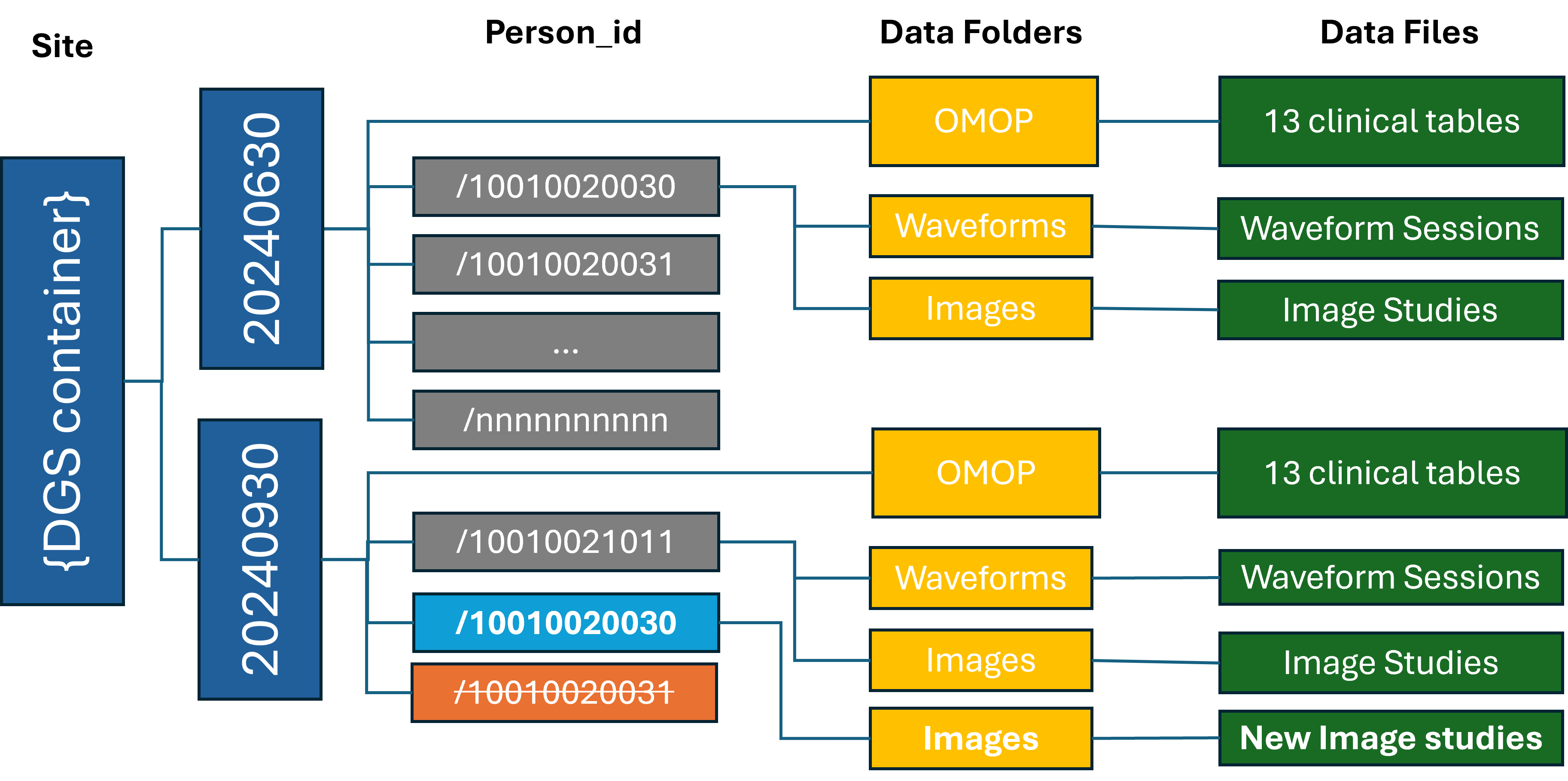 Central Data Organization