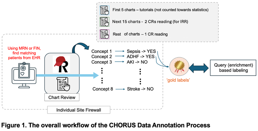 Chart Review Workflow Overview