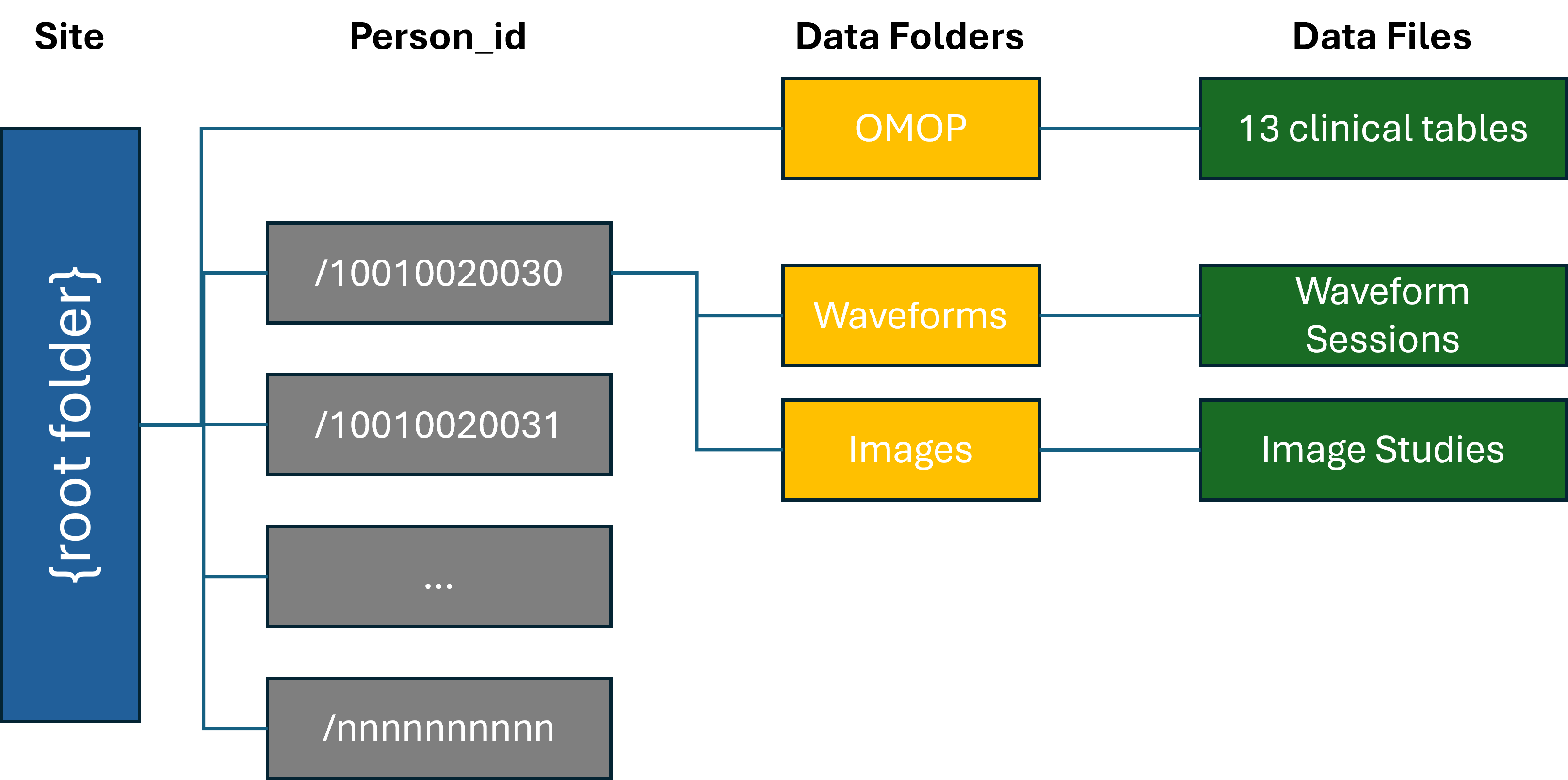 Local Data Organization