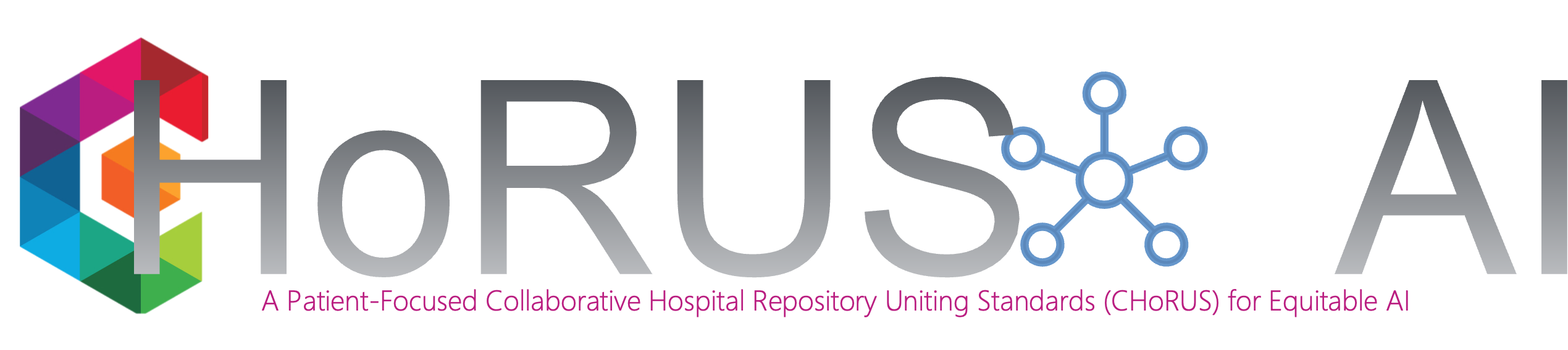 Patient-Focused Collaborative Hospital Repository Uniting Standards (CHoRUS) for Equitable AI